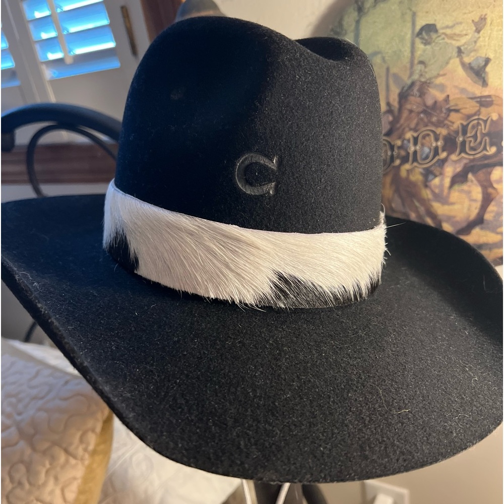 Charlie1Horse